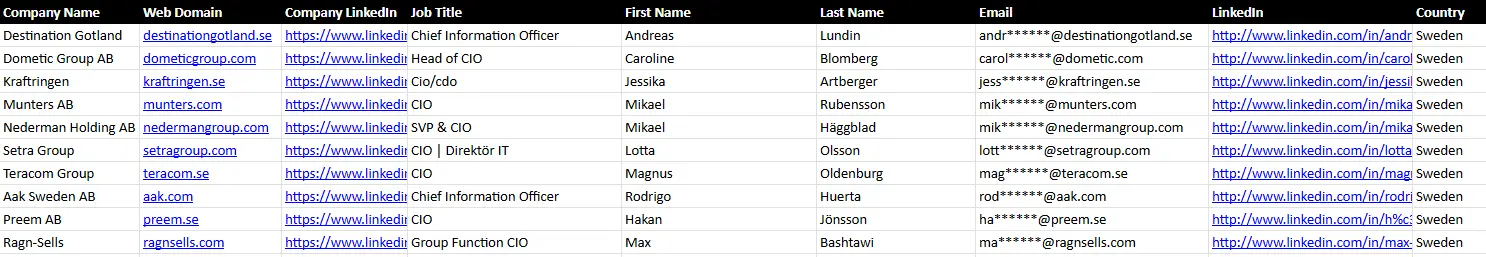 Example CIO research project spreadsheet with verified executive contact data
